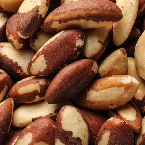 Paranüsse (Brazil nuts)